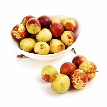 遼寧遼陽冬棗樹苗幾年結果